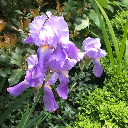 House&Garden Apartment San Donato Milanese Bagian luar foto