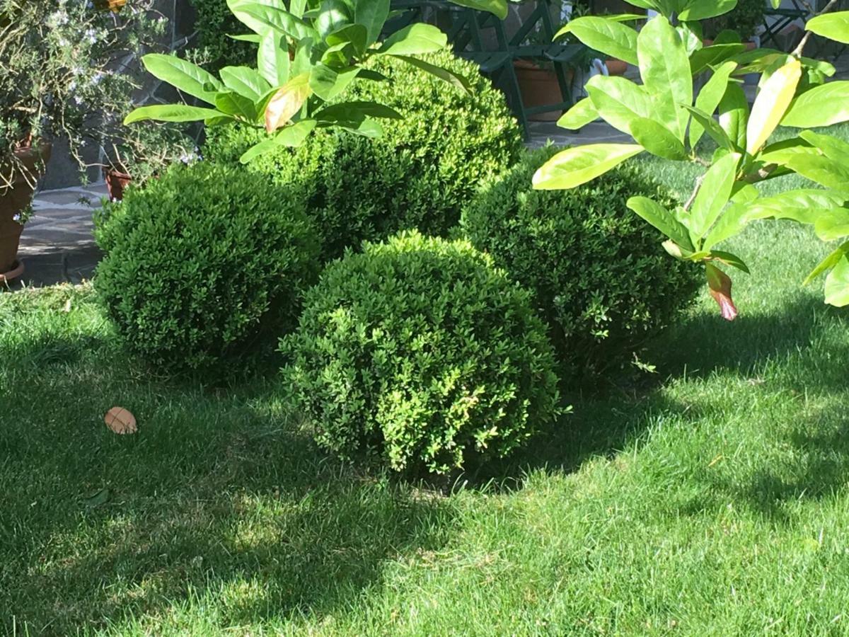 House&Garden Apartment San Donato Milanese Bagian luar foto